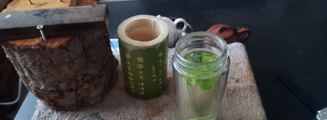 植物杯（用大自然的灵感，打造独特的植物杯，让生活更美好）-第2张图片-绿意生活