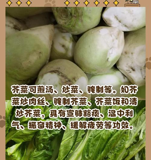 芥菜的四季之美（品味春夏秋冬，享受芥菜的不同滋味）-第1张图片-绿意生活