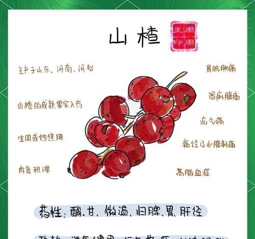 山楂开花时间的特点（探究山楂开花的气候条件和生长规律）-第3张图片-绿意生活