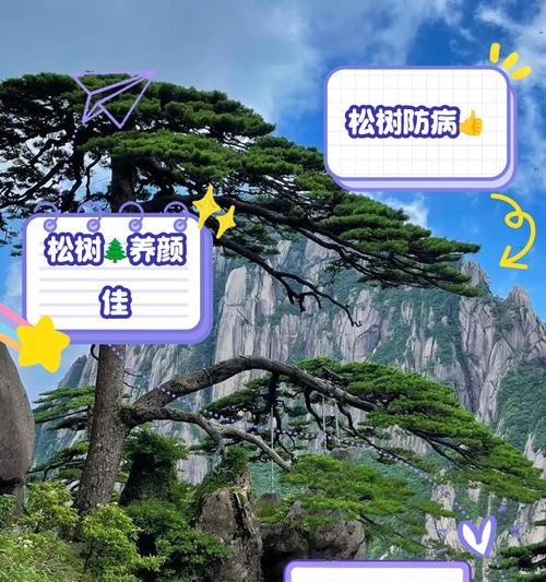 松树的冬季生存之道（探索松树如何适应严寒冬季的关键策略）-第2张图片-绿意生活