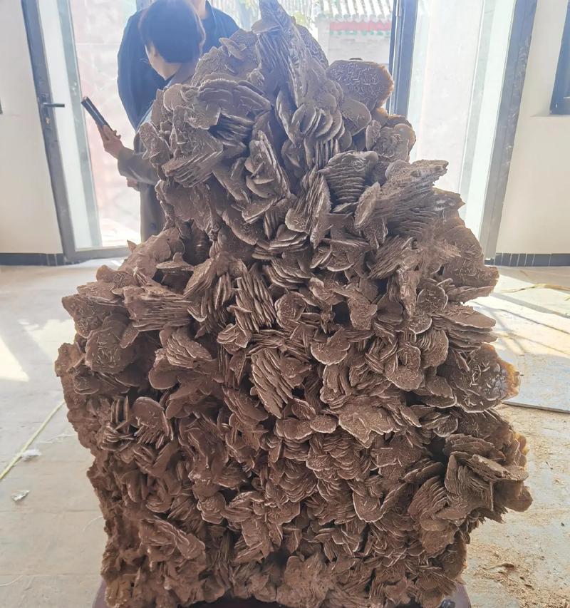 如何救治沙漠玫瑰叶尖干枯（小心！这些错误方法可能会让沙漠玫瑰死亡）-第3张图片-绿意生活