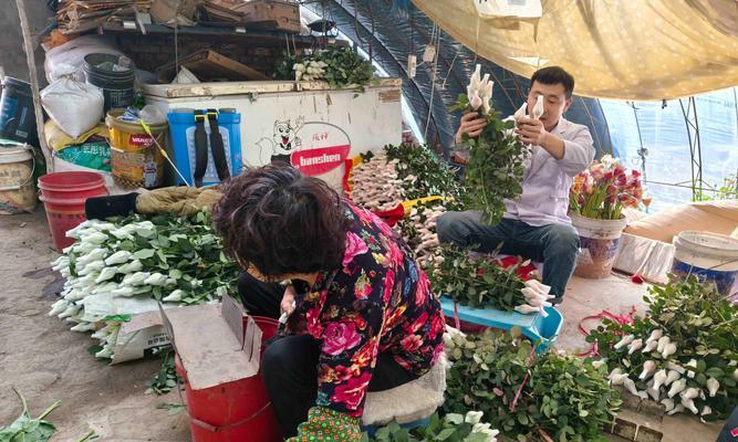 农村花卉种植的发展前景（探索农村经济新动力）-第3张图片-绿意生活