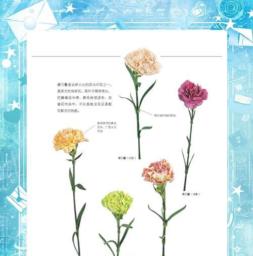 康乃馨究竟是两性花吗？（探秘康乃馨的性别特征与传说）-第1张图片-绿意生活