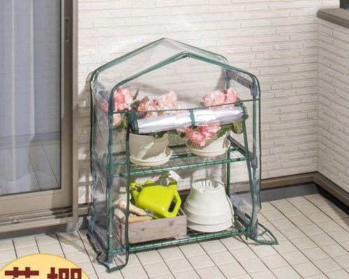 屋里花卉的冬季护理秘籍（如何让室内花卉健康度过寒冬）-第3张图片-绿意生活