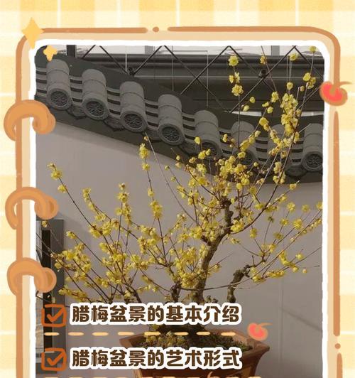 腊梅盆栽的肥养之道（选择合适的肥料，让腊梅健康茁壮）-第3张图片-绿意生活