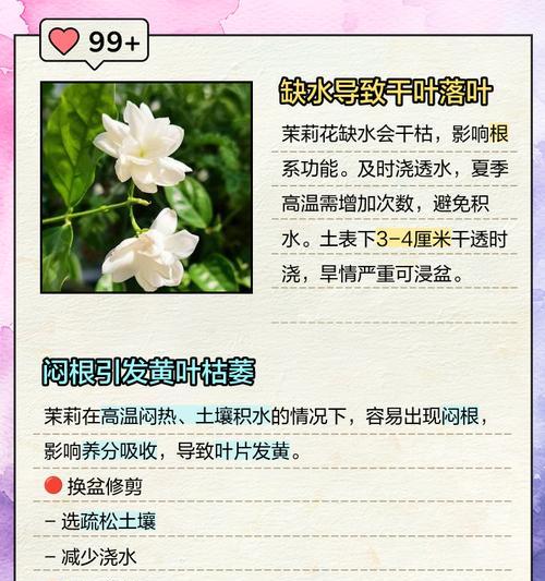 茉莉叶为何不开花？（探究茉莉叶不开花的原因及解决办法）-第3张图片-绿意生活