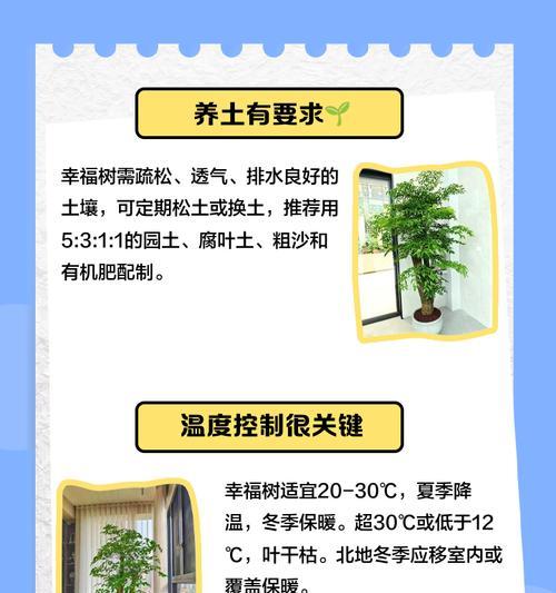 幸福树为何疯狂掉叶子？（分析幸福树掉叶子的原因和解决方法）-第1张图片-绿意生活