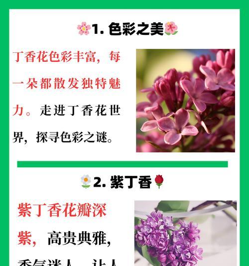 丁香怎么不开花？（以今年移栽的丁香为例，探究其不开花的原因及解决方法）-第3张图片-绿意生活