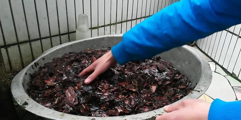 如何处理兰花硬植料？（兰花硬植料的处理技巧与方法）-第2张图片-绿意生活