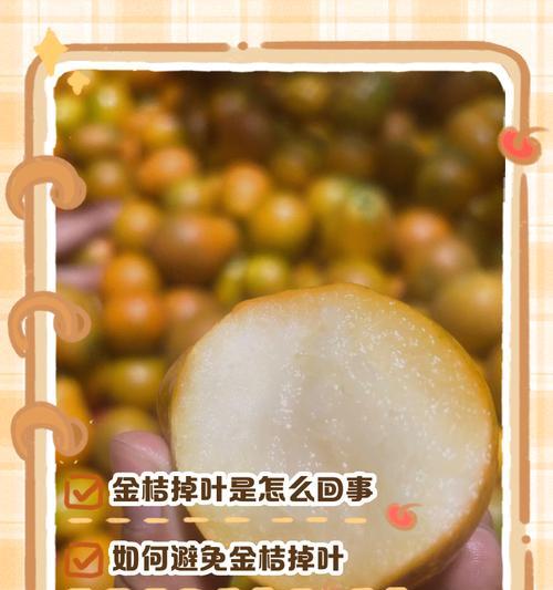 金桔不开花的原因及解决方法（探究金桔不开花的成因，提供有效的解决方案）-第1张图片-绿意生活