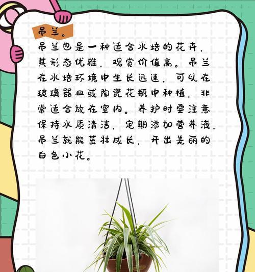 以水养花卉（水的关键作用与养护要点）-第3张图片-绿意生活
