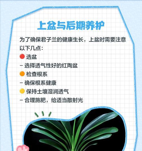 以养君子兰的腐叶土制作方法（制作君子兰专用腐叶土的步骤与技巧）-第2张图片-绿意生活