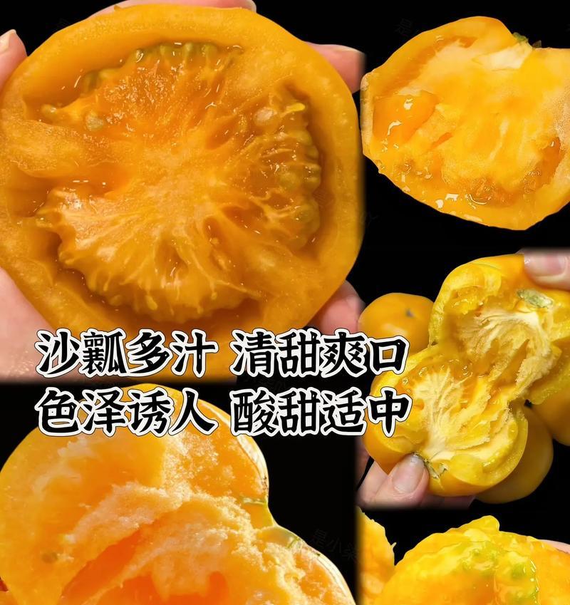 柿子和西红柿的异同点剖析（你以为它们一样？详解真相）-第1张图片-绿意生活