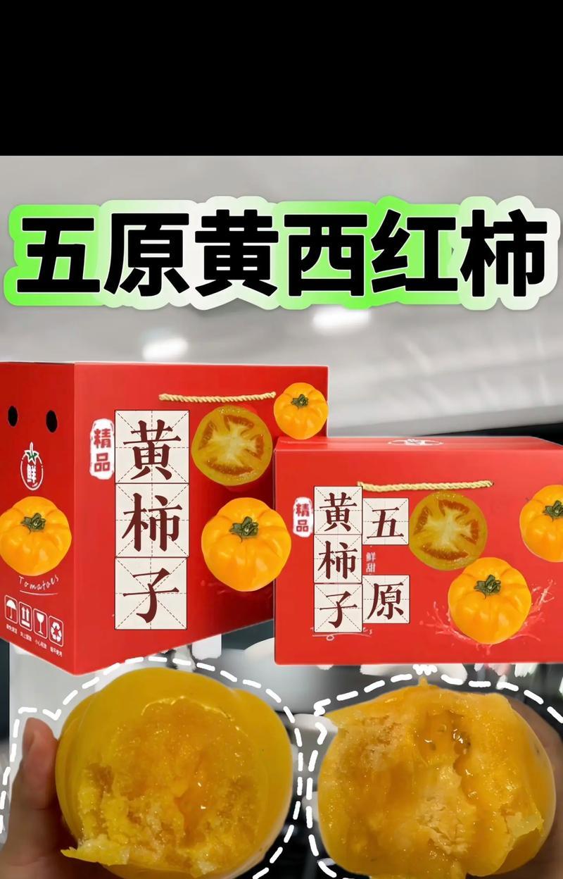 柿子和西红柿的异同点剖析（你以为它们一样？详解真相）-第2张图片-绿意生活
