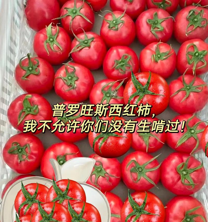 柿子和西红柿的异同点剖析（你以为它们一样？详解真相）-第3张图片-绿意生活