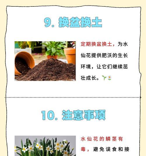 水仙花开花温度（从理论到实践，探究水仙花开花温度的影响因素）-第2张图片-绿意生活