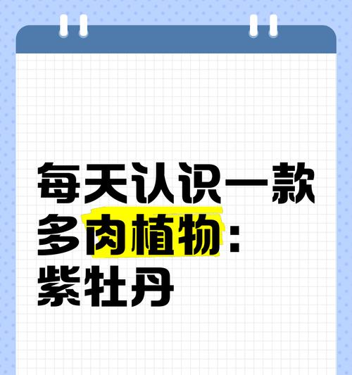 紫牡丹多肉的养护技巧（打造美丽多肉花园的必备指南）-第3张图片-绿意生活