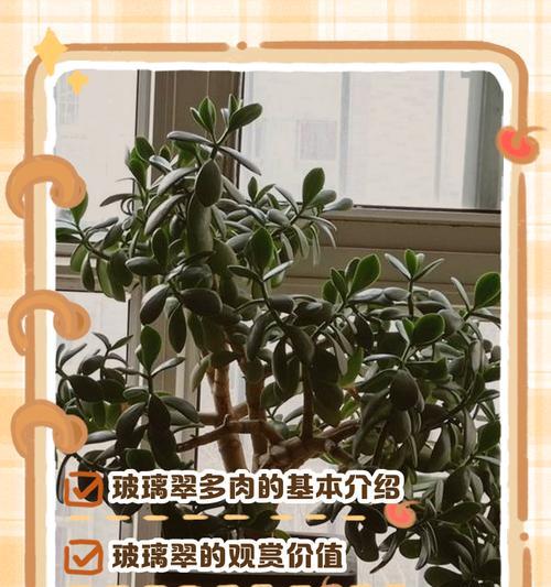 冬季玻璃海棠的养殖技巧（让你的玻璃海棠在寒冷的冬季中绽放美丽的花朵）-第1张图片-绿意生活