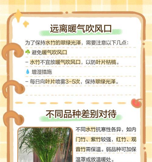 伞竹的冬季养殖技巧（寒冬保护伞竹，让其茁壮成长）-第2张图片-绿意生活