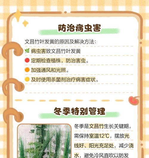盆栽竹叶子发黄的挽救方法（怎么让盆栽竹叶子恢复绿泽？）-第2张图片-绿意生活