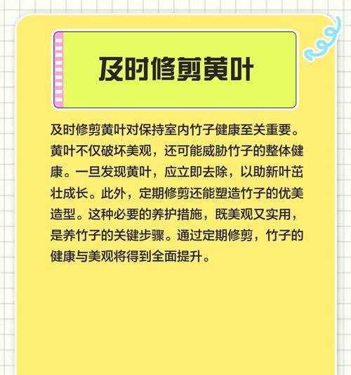 盆栽竹叶子发黄的挽救方法（怎么让盆栽竹叶子恢复绿泽？）-第3张图片-绿意生活