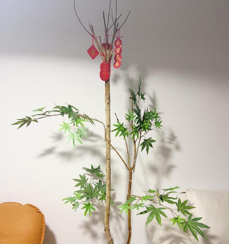如何正确处理平安树糊巴叶子问题（保护平安树健康成长的关键措施）-第2张图片-绿意生活