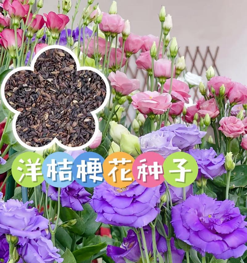 种植花草种子的步骤与技巧（从花草种子到绚丽花海，你需要了解的全部知识）-第2张图片-绿意生活