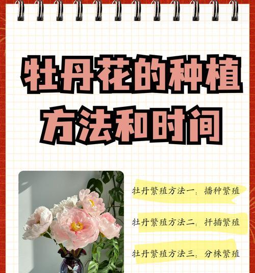 种植花草种子的步骤与技巧（从花草种子到绚丽花海，你需要了解的全部知识）-第3张图片-绿意生活