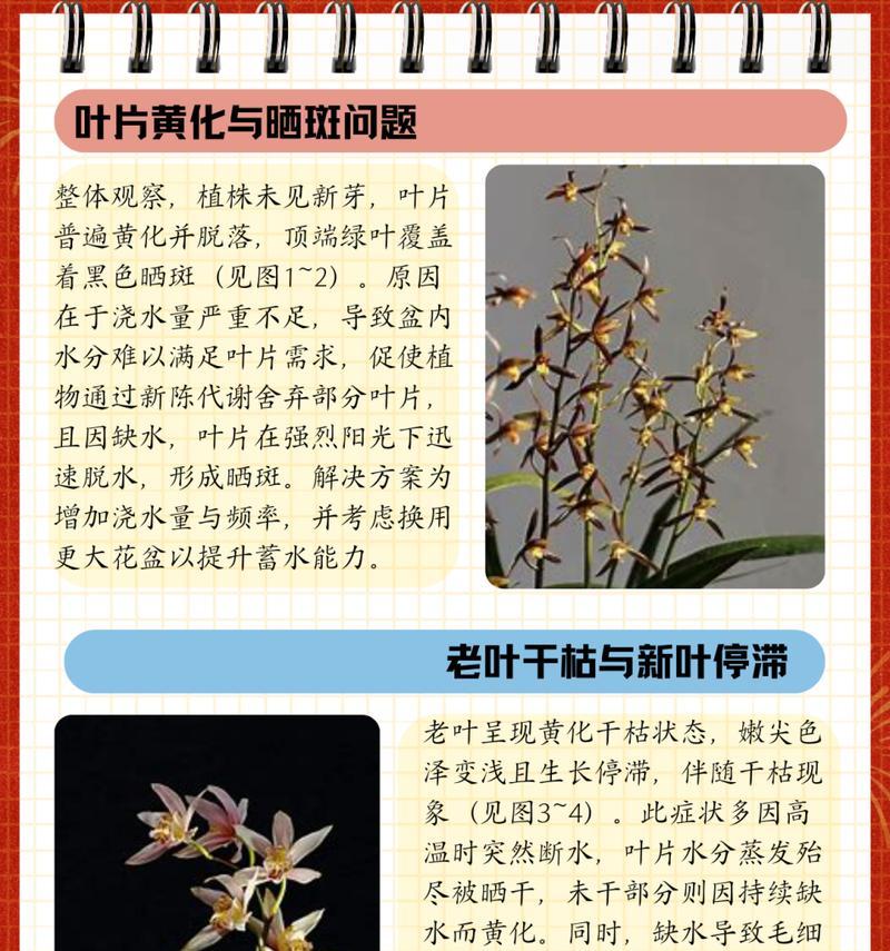 救活干枯的海棠花叶子（如何补救干枯的海棠花叶子及关键技巧）-第2张图片-绿意生活