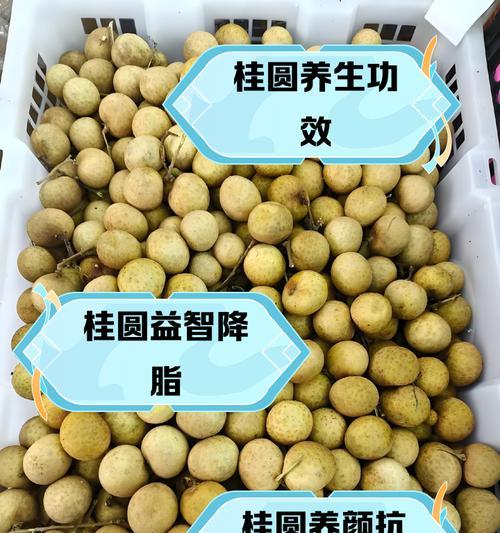 桂圆盆栽-第1张图片-绿意生活