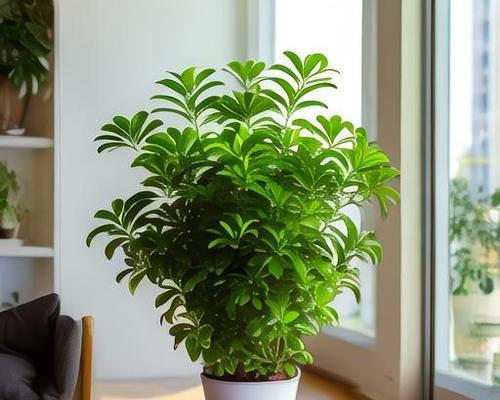 为什么绿植的叶片会发干？（干燥环境是绿植叶片发干的主要原因）-第1张图片-绿意生活