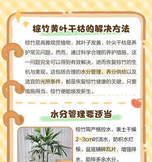 如何解决棕竹叶子发白问题（保持棕竹叶子的自然色彩与光泽）-第2张图片-绿意生活