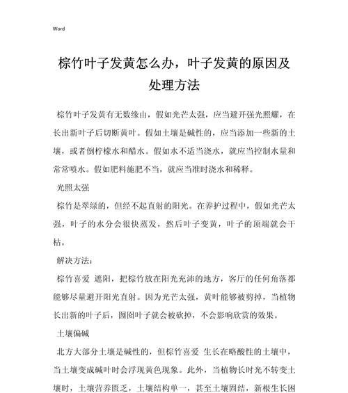 如何解决棕竹叶子发白问题（保持棕竹叶子的自然色彩与光泽）-第3张图片-绿意生活