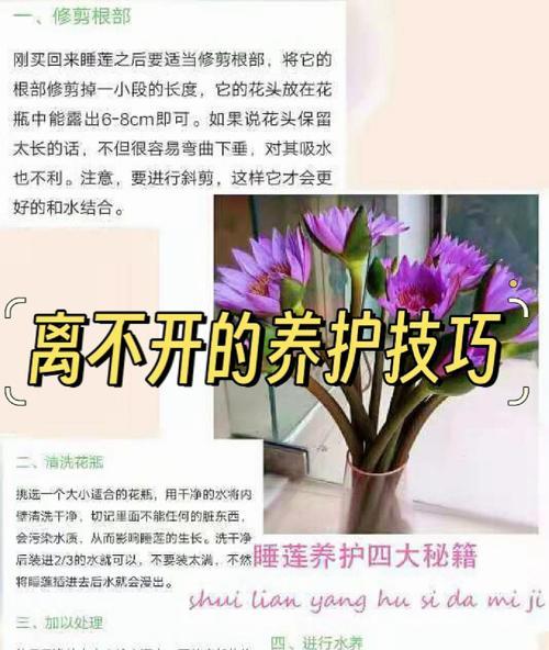 睡莲叶子发黑腐烂的原因及解决方法（保护睡莲叶子的关键措施）-第1张图片-绿意生活