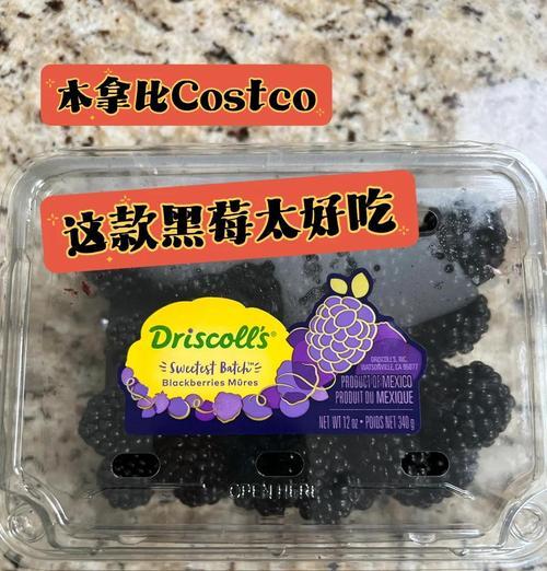 探究黑莓香味的奥秘（品味来自大自然的芬芳）-第3张图片-绿意生活