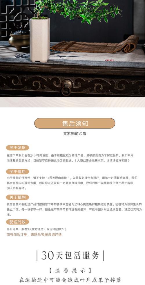 六月雪的扦插时间和方法（教你如何正确地进行六月雪的扦插）-第3张图片-绿意生活