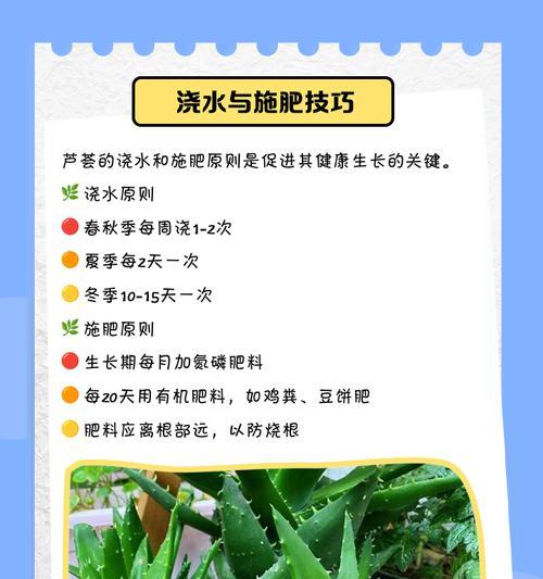 芦荟养护技巧（折断芦荟的关键步骤与注意事项）-第1张图片-绿意生活