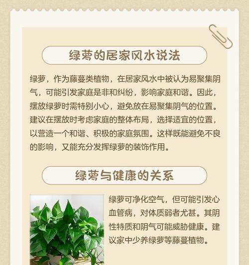 绿萝在风水中的化解之道（用绿萝调整居室风水，为家带来吉祥与好运）-第1张图片-绿意生活