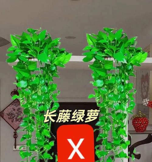 绿萝在风水中的化解之道（用绿萝调整居室风水，为家带来吉祥与好运）-第2张图片-绿意生活