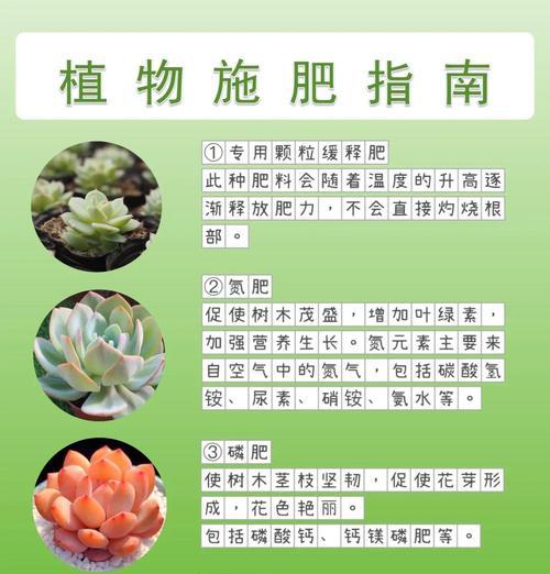 以冰灯玉露怎么施肥（打造健康生长的冰灯玉露，肥料是关键）-第3张图片-绿意生活