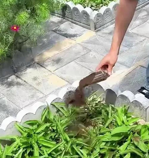 土壤过肥的应对策略（保护土地生态，合理调控养分）-第1张图片-绿意生活