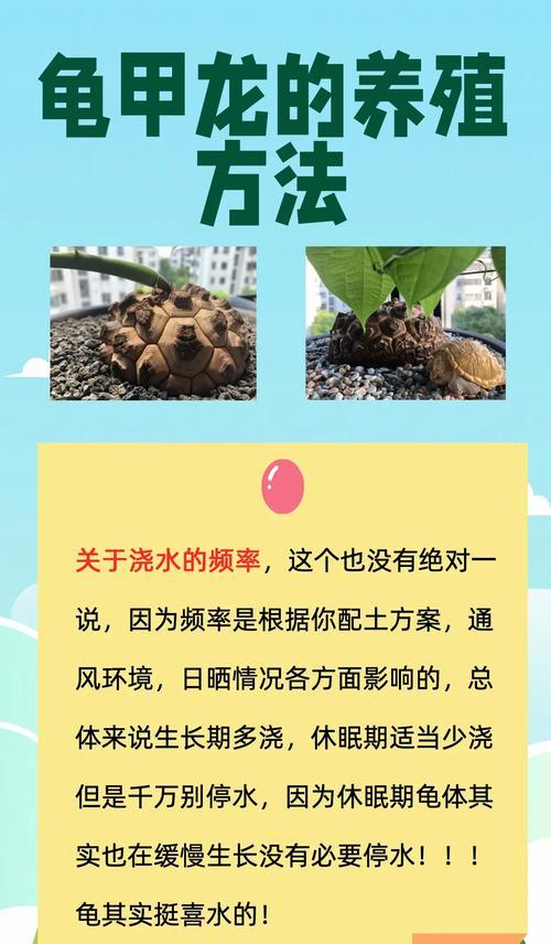 土壤过肥的应对策略（保护土地生态，合理调控养分）-第2张图片-绿意生活