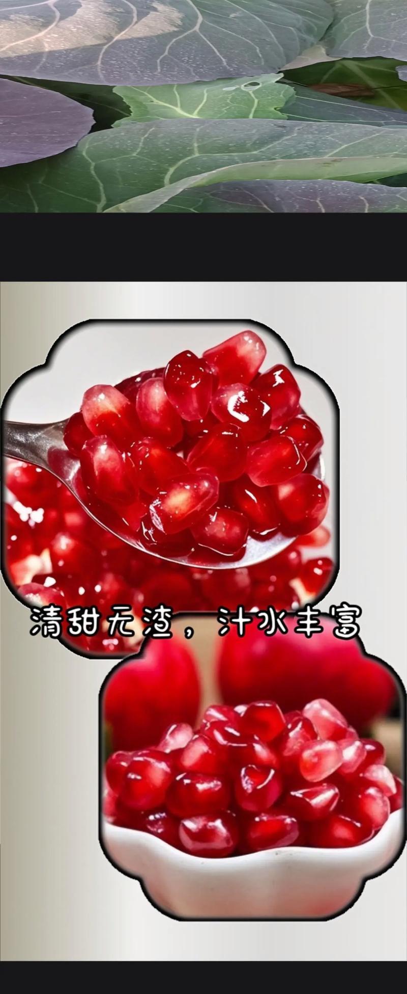 石榴种植的方法和技巧（如何正确上盆石榴苗，打造理想的种植环境）-第1张图片-绿意生活