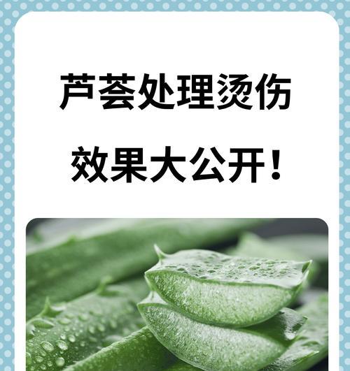 芦荟叶子的妙用与保健功效（探秘芦荟叶子的奇迹——从药用到美容，它都能胜任！）-第1张图片-绿意生活