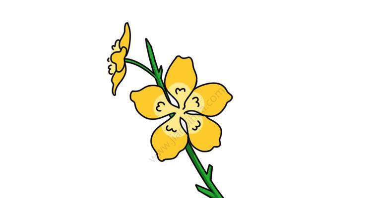 隶棠花的越冬方法（探索如何让隶棠花安全度过寒冷的冬季）-第1张图片-绿意生活