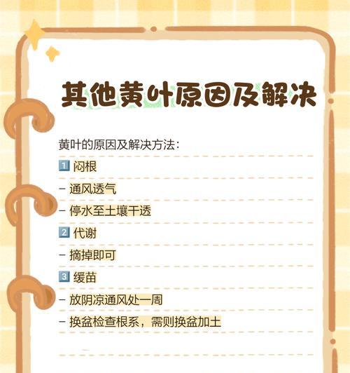 花为什么会越来越绿？（揭秘花叶变绿的奥秘，）-第2张图片-绿意生活