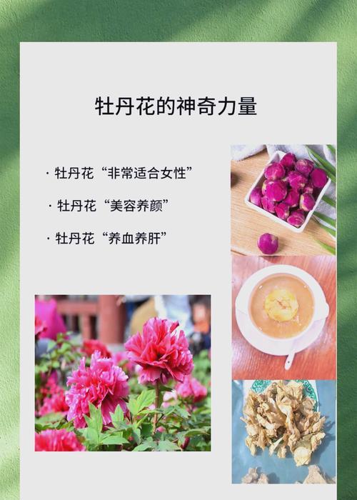 盛开的牡丹花之美（花开如火，绽放娇艳——赏析牡丹花的独特魅力）-第1张图片-绿意生活