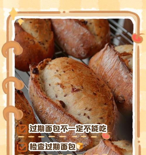 过期面包如何变废为宝——用面包沤肥（环保新理念）-第1张图片-绿意生活