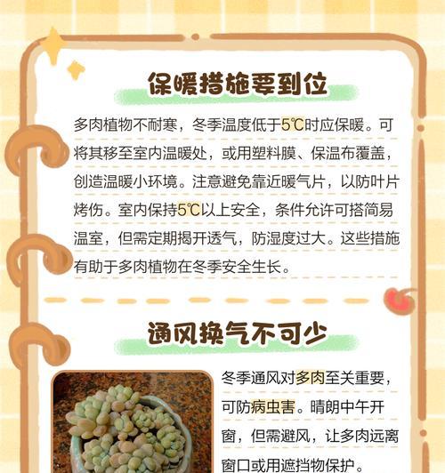如何让以热的植物越冬（保护方法和关键技巧）-第3张图片-绿意生活