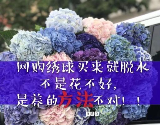 花束蔫了怎么办？如何延长鲜花的寿命（掌握几个简单技巧，让花束更加持久）-第1张图片-绿意生活